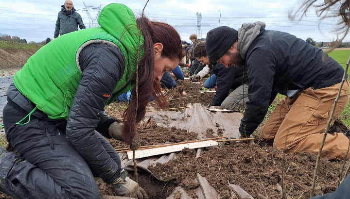 Prochain chantier de plantation de haie,  on a besoin de vous !